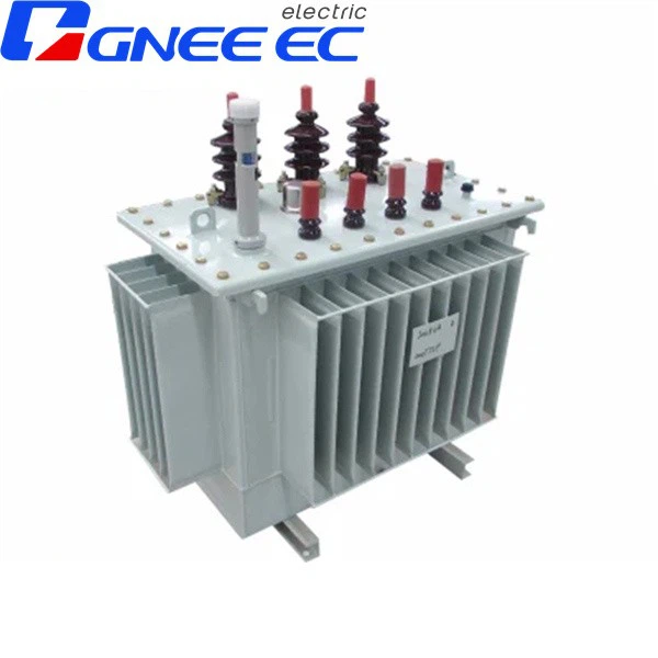 S22 Oil Immersed Three-phase Double Winding Distribution Transformer